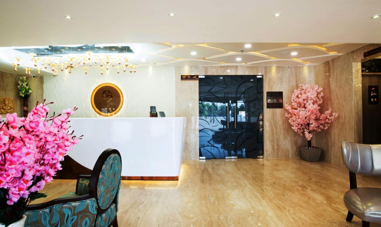 Olive Tree Hotel Vijayawada Ngoại thất bức ảnh